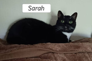 Sarah1