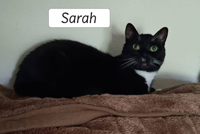 Sarah1