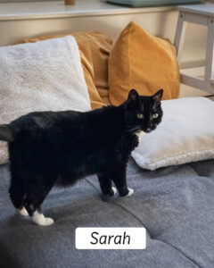 Sarah4