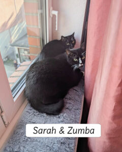 Sarah_und_Zumba