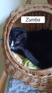 Zumba1