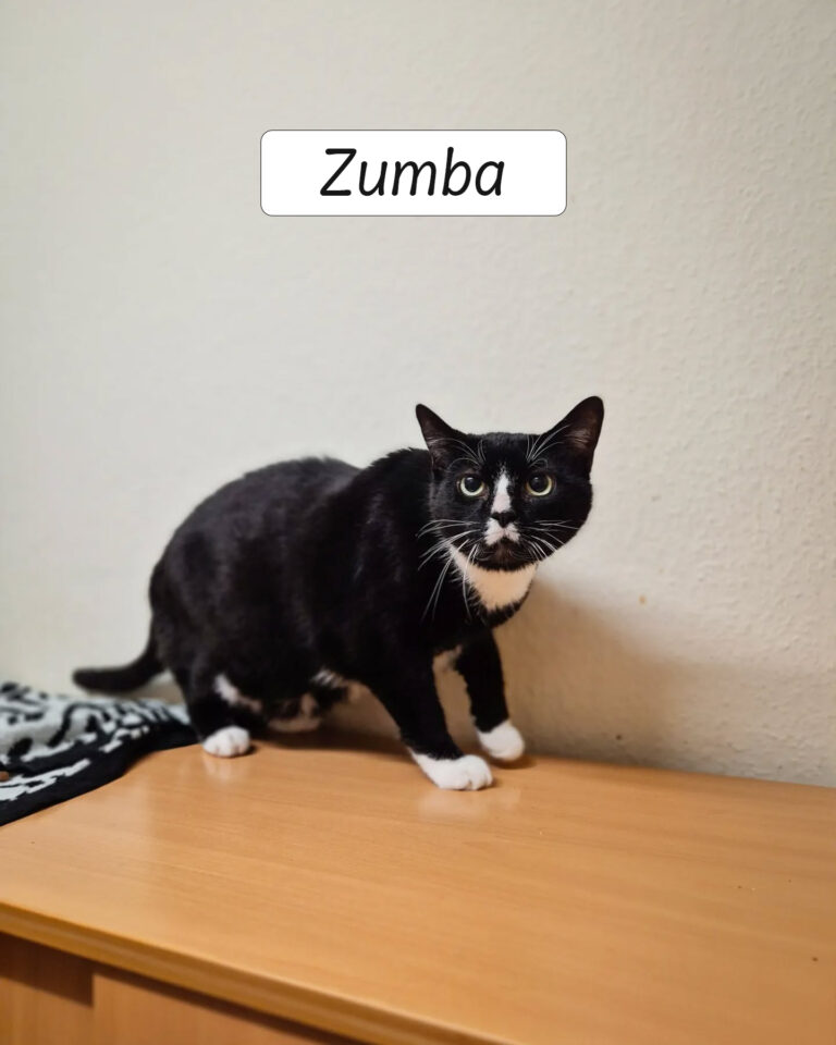 Zumba2