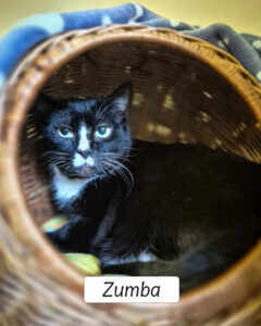 Zumba3