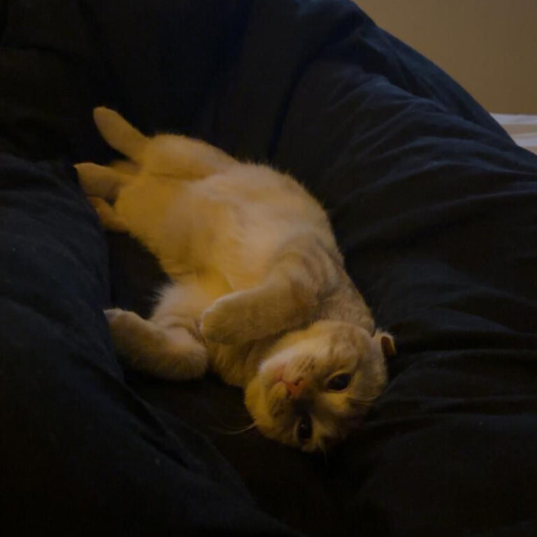 Moehrchen_Zoe_Lissy_10