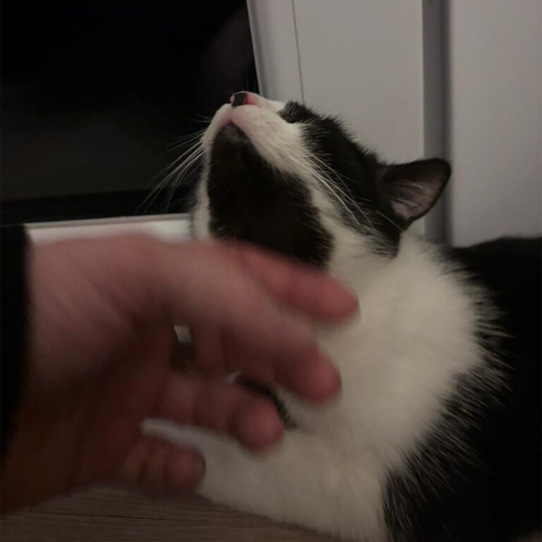 Moehrchen_Zoe_Lissy_21