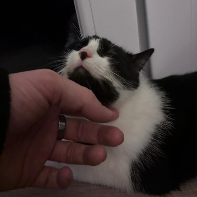 Moehrchen_Zoe_Lissy_22