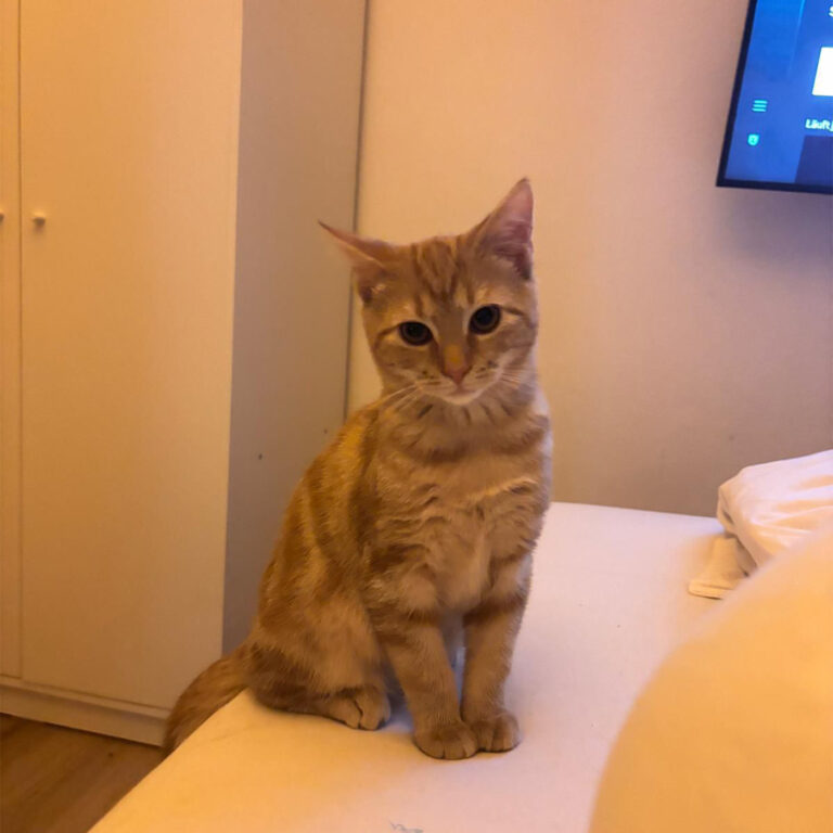 Moehrchen_Zoe_Lissy_3