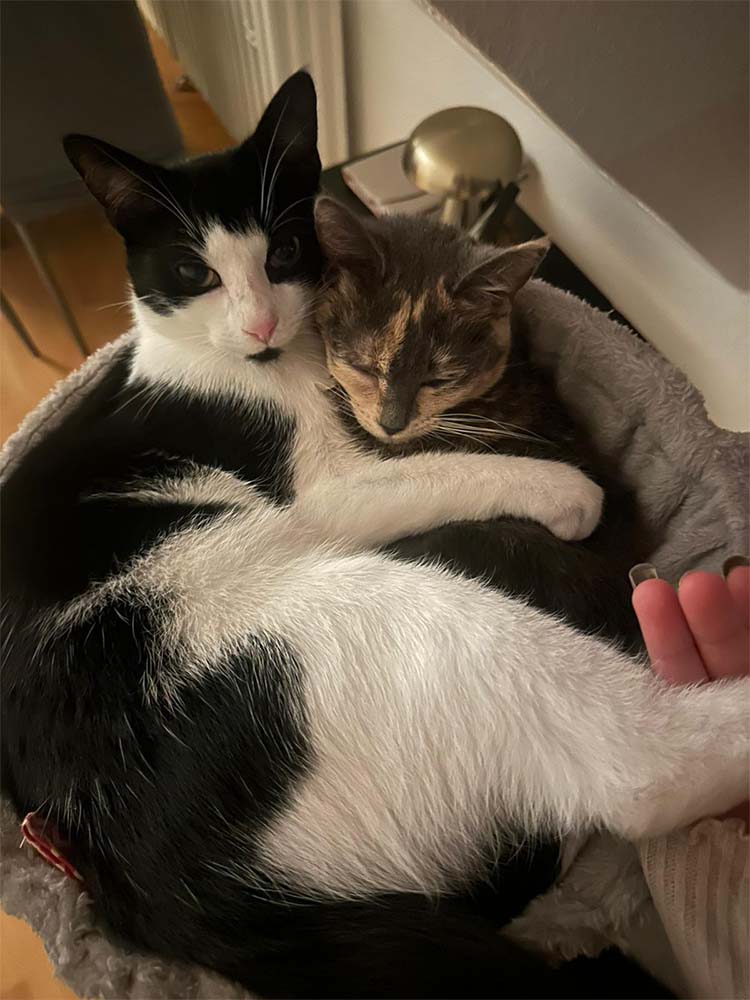 Emmi_Milli_Atti_neu_1