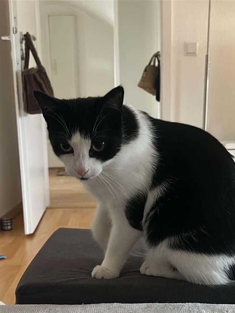 Emmi_Milli_Atti_neu_2