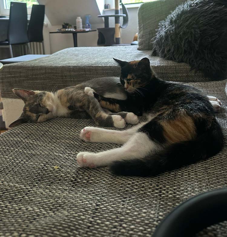 Emmi_Milli_Atti_neu_3