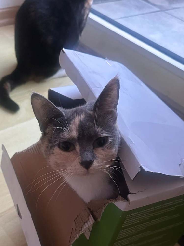 Emmi_Milli_Atti_neu_4