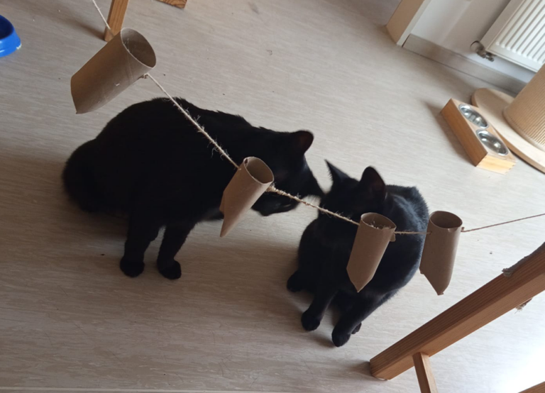 Kruemel_Kiki_1
